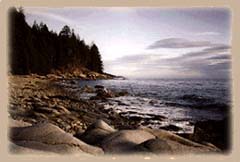 coastline pic